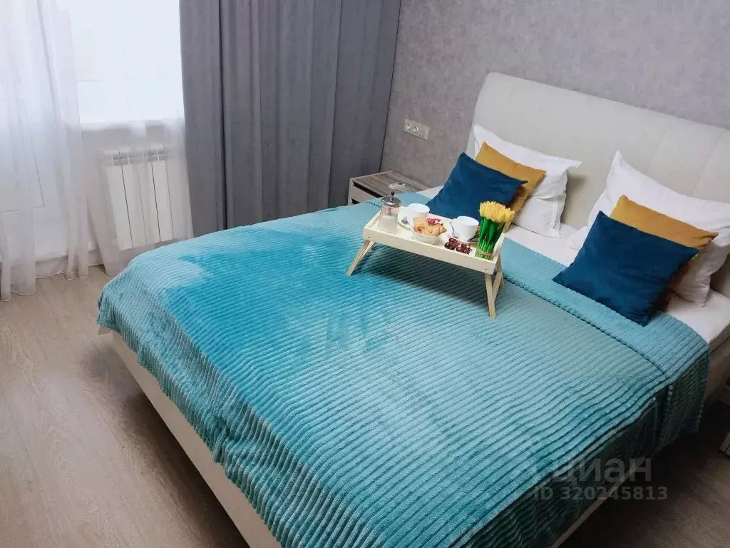 2-к кв. Саратовская область, Саратов ул. Имени С.Ф. Тархова, 29А (43.0 ... - Фото 1