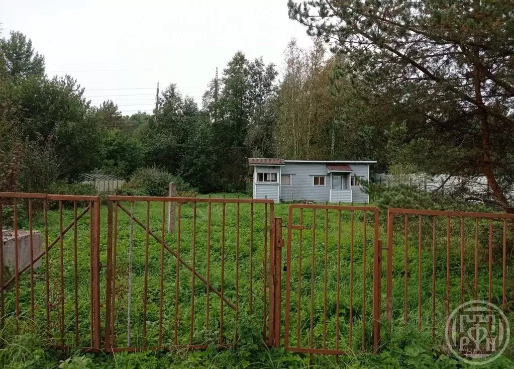 Участок в Ленинградская область, Приозерский район, Громовское с/пос, ... - Фото 1