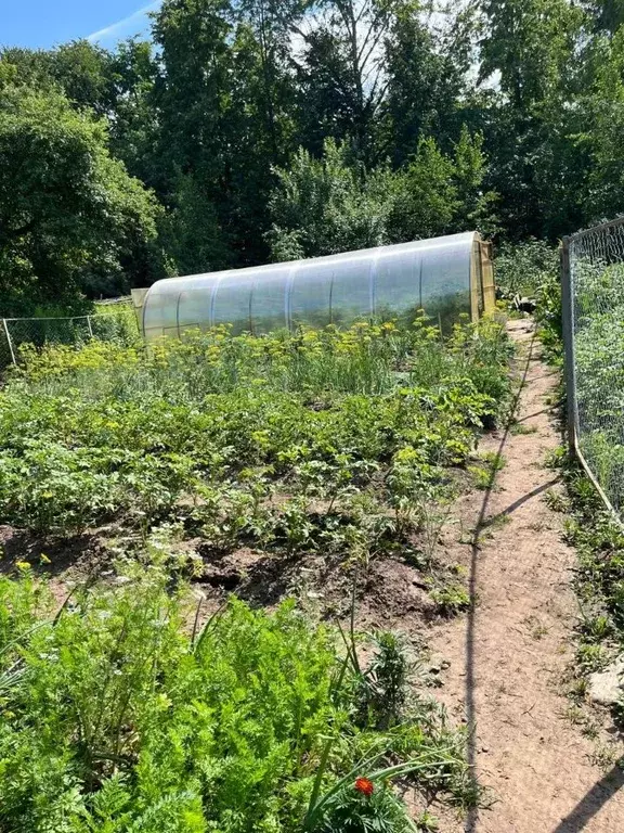 Участок в Нижегородская область, Заволжье г. Городецкий муниципальный ... - Фото 2