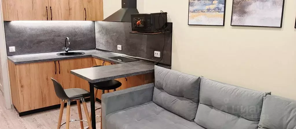 Студия Санкт-Петербург ул. Плесецкая, 10 (31.1 м) - Фото 2