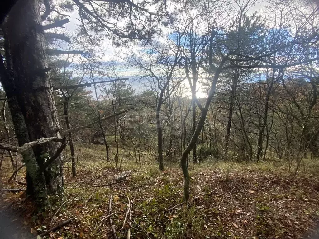 Участок в Крым, Ялта муниципальный округ, Кореиз пгт  (10.0 сот.) - Фото 1