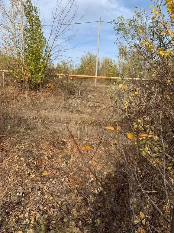 Участок в Саратовская область, Саратов проезд 9-й Назаровский (6.0 ... - Фото 2