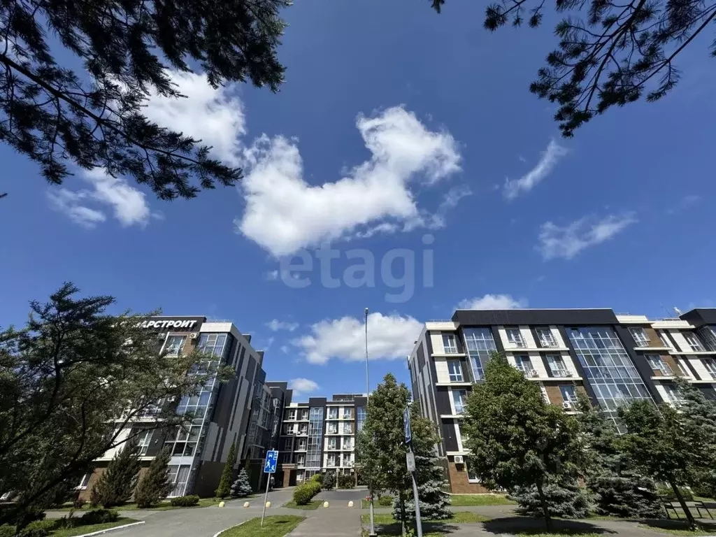 1-к кв. Татарстан, Казань ул. Генерала Ерина, 13к2 (44.7 м) - Фото 1