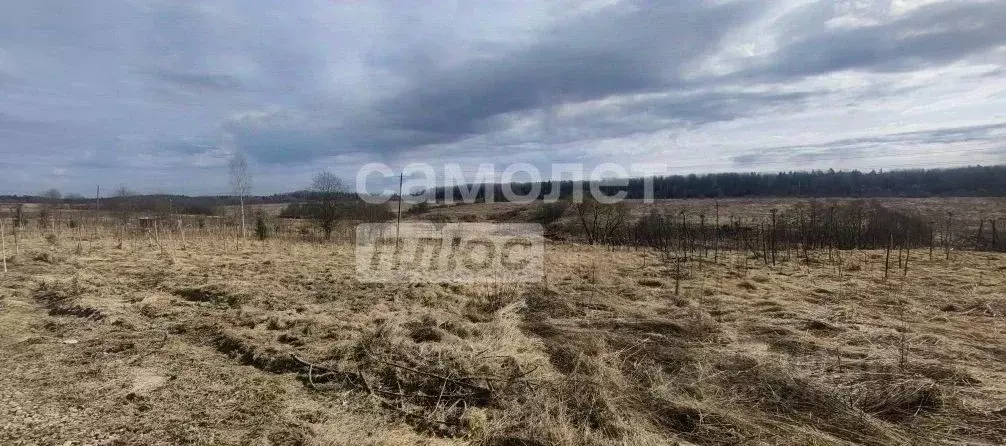 Участок в Ленинградская область, Тосненское городское поселение, д. ... - Фото 2