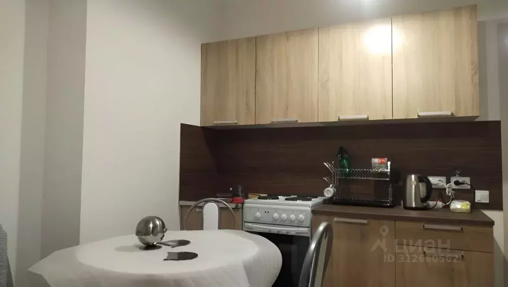 Студия Санкт-Петербург дор. Муринская, 27к2 (19.0 м) - Фото 0