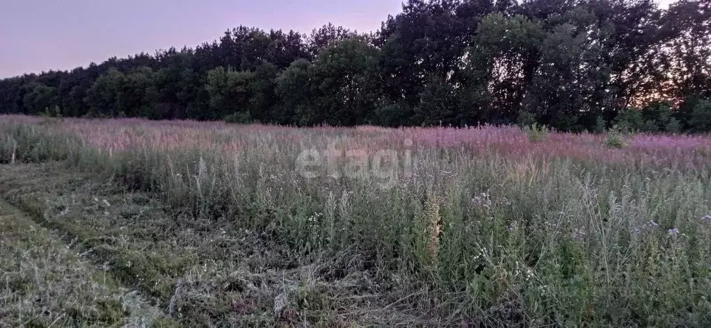 Участок в Мордовия, Саранск городской округ, пос. Пушкино  (10.0 сот.) - Фото 1