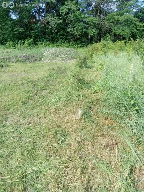 Участок в Тульский, улица Ветеранов, 18 (8.48 м) - Фото 1