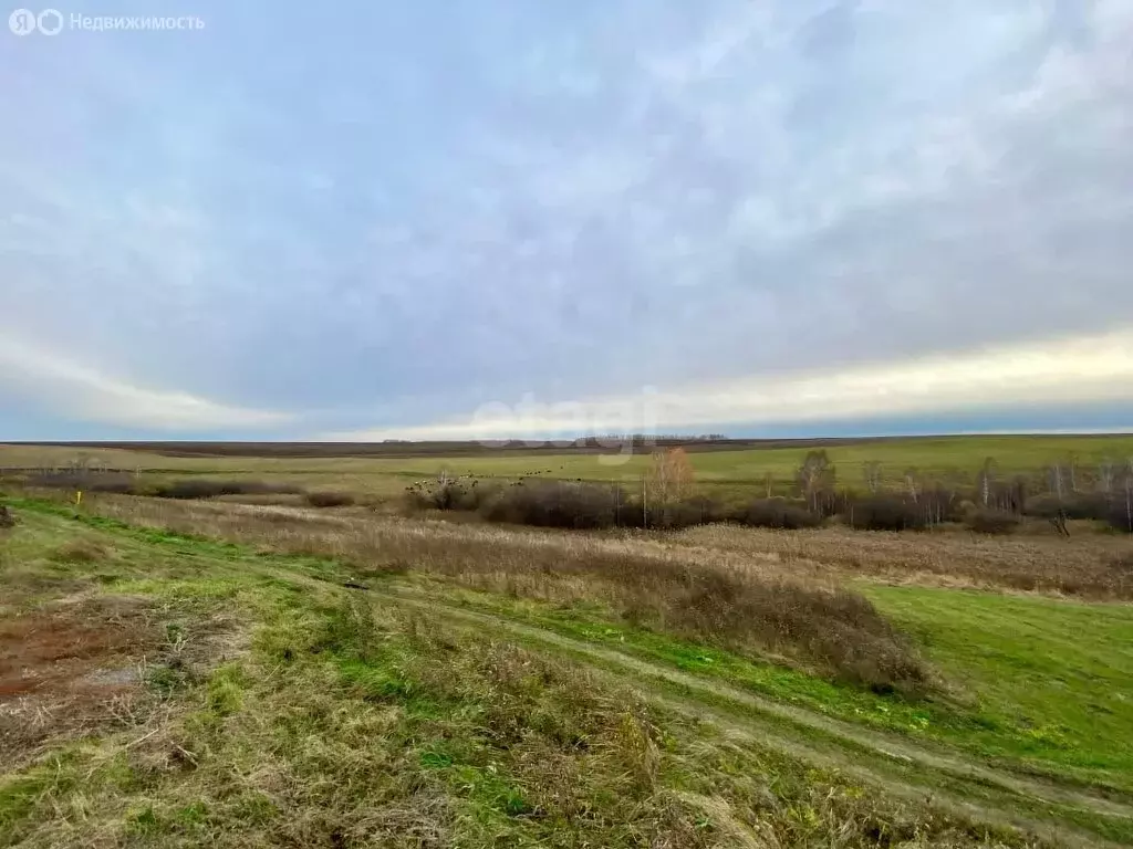 Участок в Кемеровский муниципальный округ, деревня Сухая Речка (15 м) - Фото 1