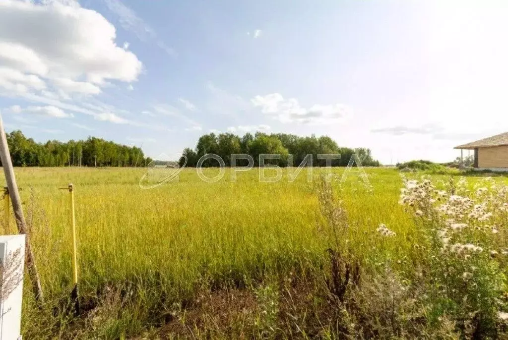 Участок в Тюменская область, Тюменский район, Новокаменский кп ул. ... - Фото 0