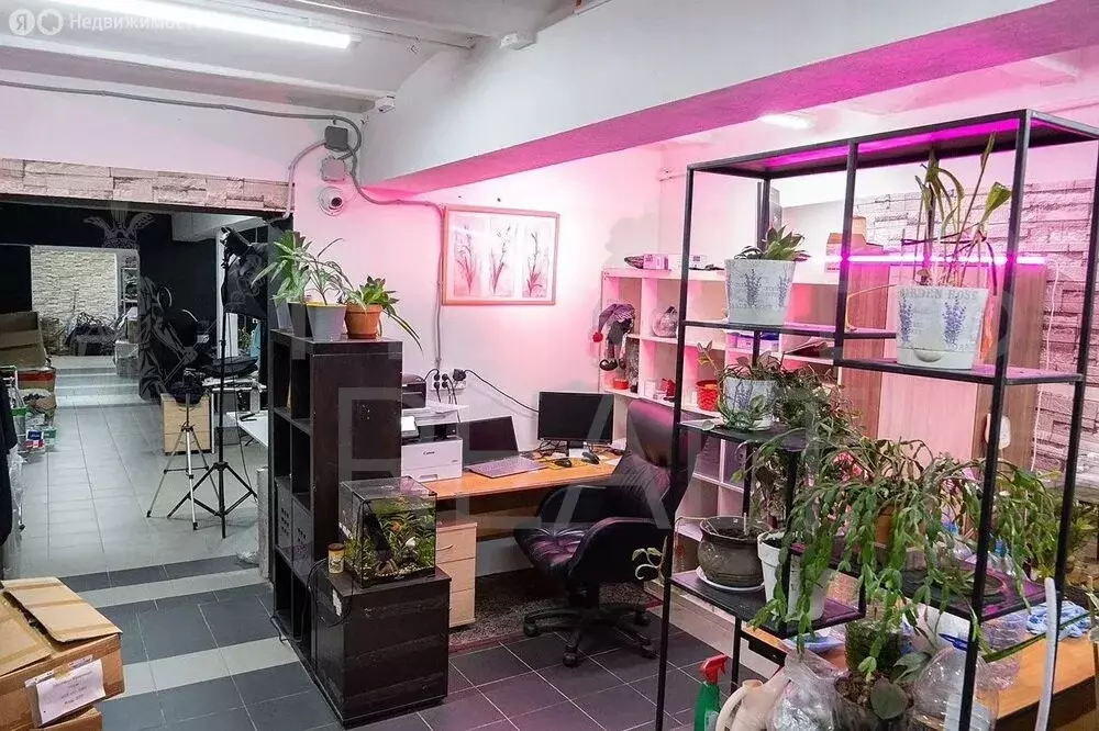 Офис (300 м) - Фото 1