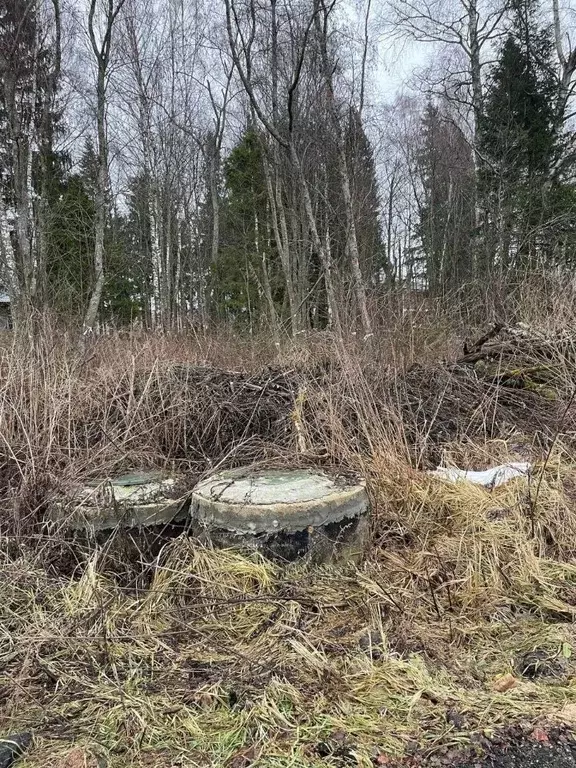 Участок в Москва № 185 кв-л, 79 (19.37 сот.) - Фото 2