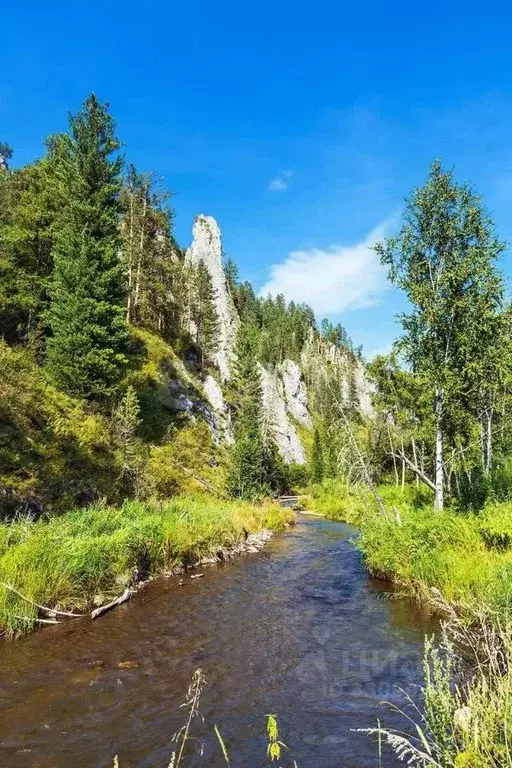 Участок в Алтай, Чемальский район, Узнезинское с/пос, с. Узнезя  ... - Фото 1