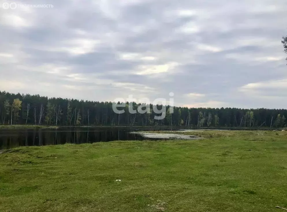 Участок в Ордынский район, село Вагайцево (6212.12 м) - Фото 1