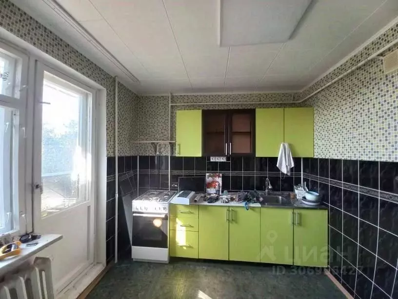 4-к кв. Псковская область, Псковский район, Тямшанская волость, д. ... - Фото 2