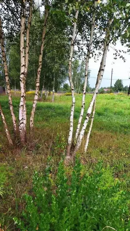 Участок в Тверская область, Калининский муниципальный округ, д. Новое ... - Фото 1