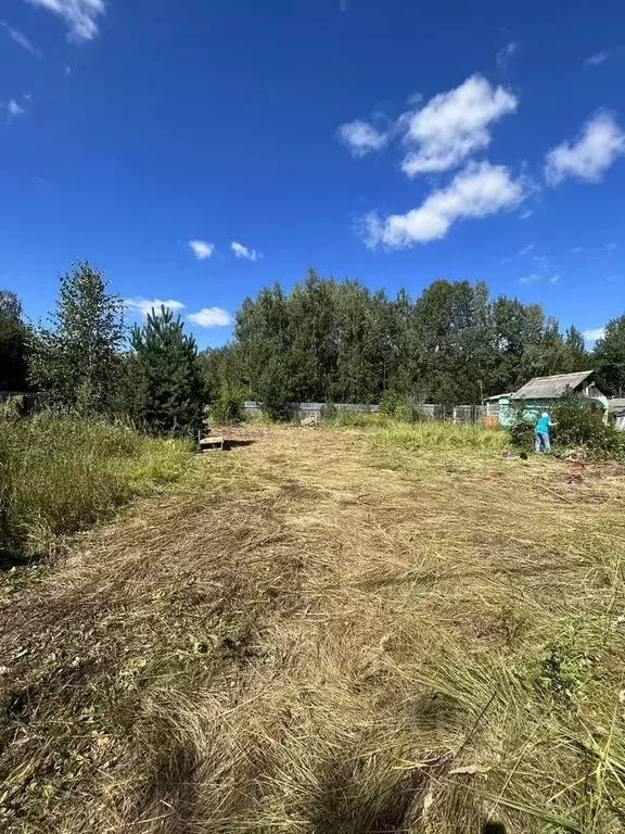 Участок в Московская область, Орехово-Зуевский городской округ, пос. ... - Фото 1