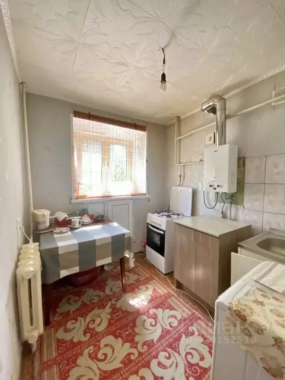 1-к кв. Нижегородская область, Кстово Зеленая ул., 10А (28.2 м) - Фото 1