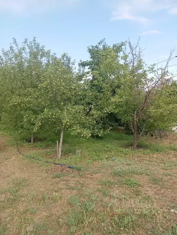 Участок в Волгоградская область, Городищенский район, Ерзовское ... - Фото 2