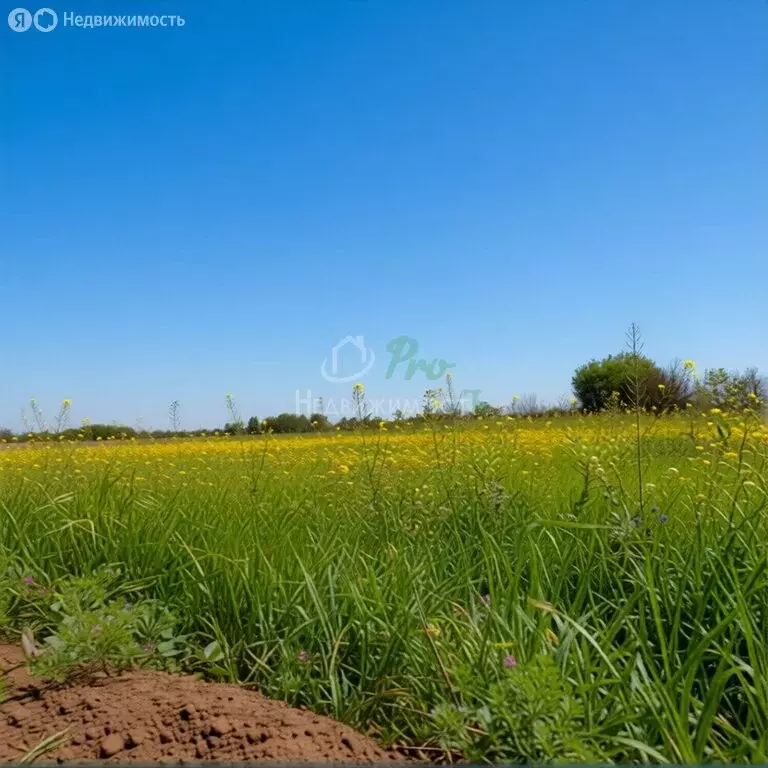 Участок в Ейск, улица Воронцова (6 м) - Фото 2