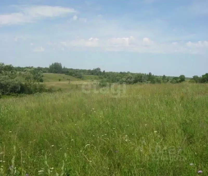 Участок в Курганская область, Кетовский муниципальный округ, д. Белый ... - Фото 1