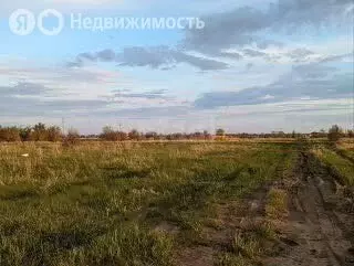 Участок в Ягодное, коттеджный посёлок Новое Ягодное, Орловская улица ... - Фото 1