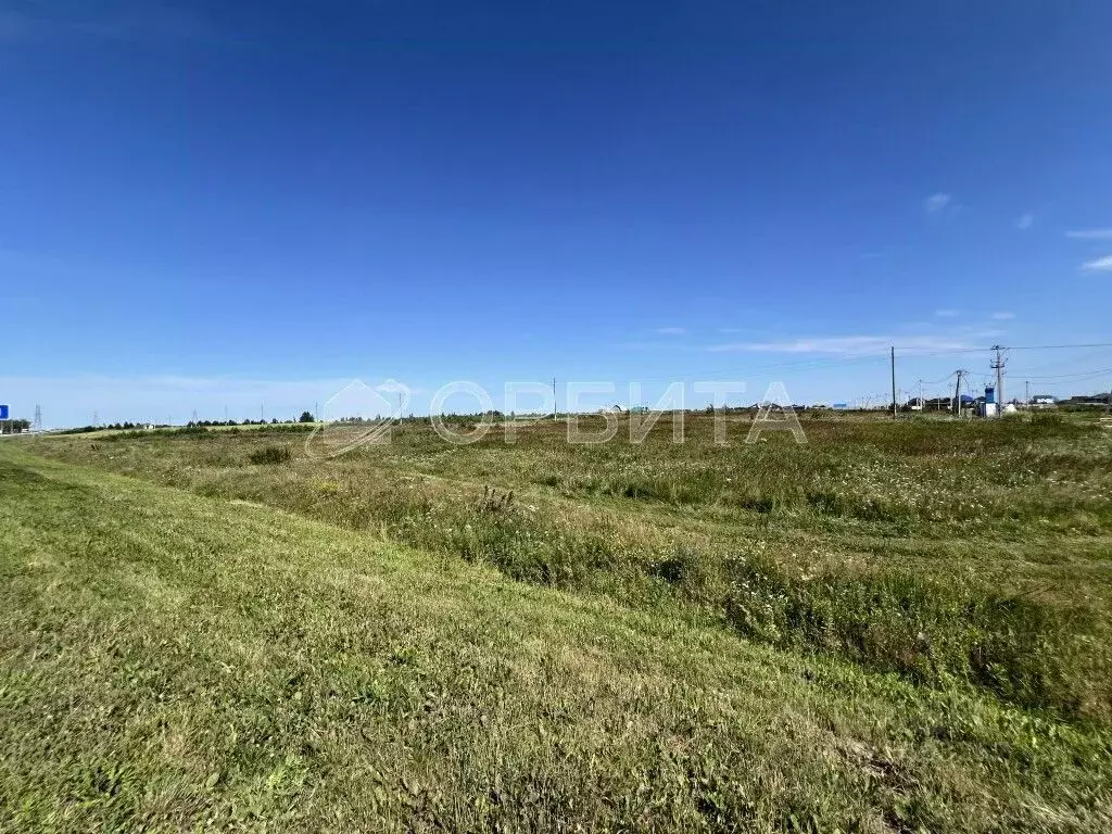 Участок в Тюменская область, Тюменский район, с. Борки  (12039.0 сот.) - Фото 2