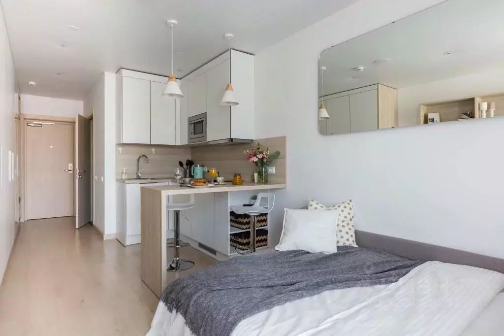 1-к кв. Санкт-Петербург Социалистическая ул., 21 (24.0 м) - Фото 2