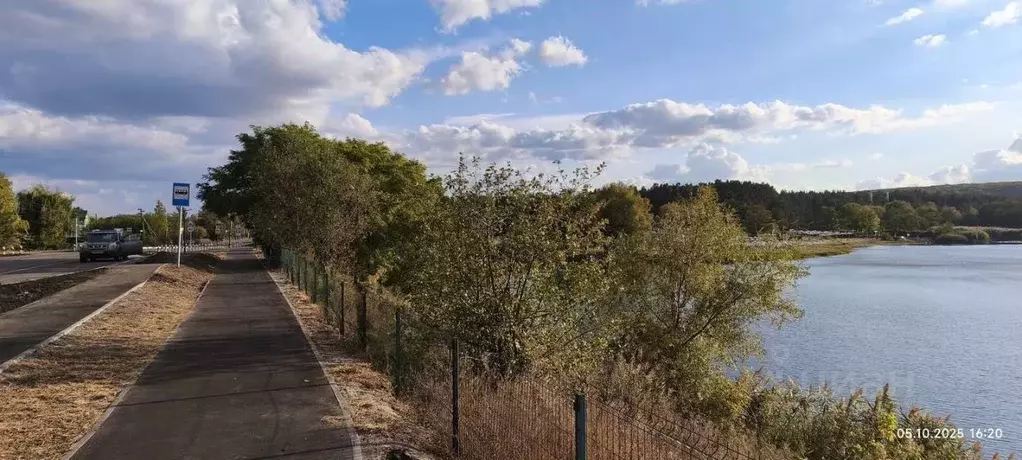 Участок в Белгородская область, Белгородский район, Поселок Разумное ... - Фото 2