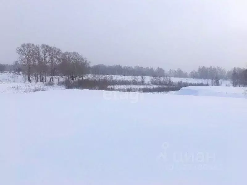 Участок в Новосибирская область, Новосибирск Пашино мкр, ул. ... - Фото 0