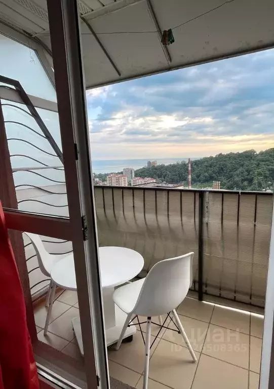 1-к кв. Краснодарский край, Сочи ул. Яна Фабрициуса, 293 (27.0 м) - Фото 2