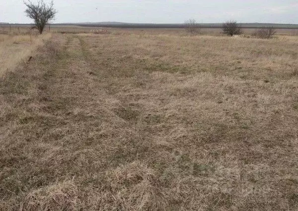 Участок в Краснодарский край, Темрюкский район, Новотаманское с/пос, ... - Фото 2