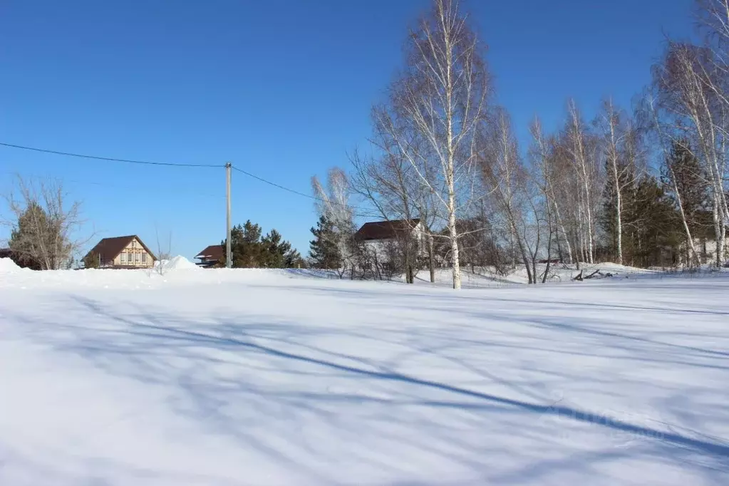 Участок в Алтайский край, Барнаул городской округ, пос. Бельмесево ... - Фото 1