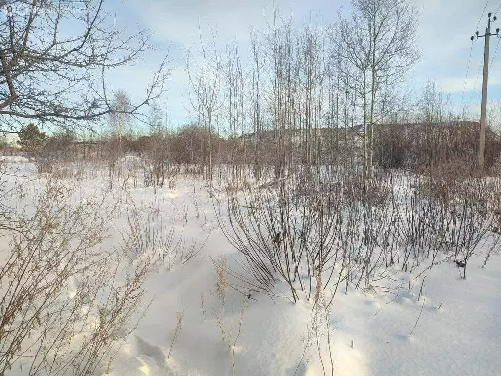 Участок в Горноуральский городской округ, село Балакино, Первомайская ... - Фото 1