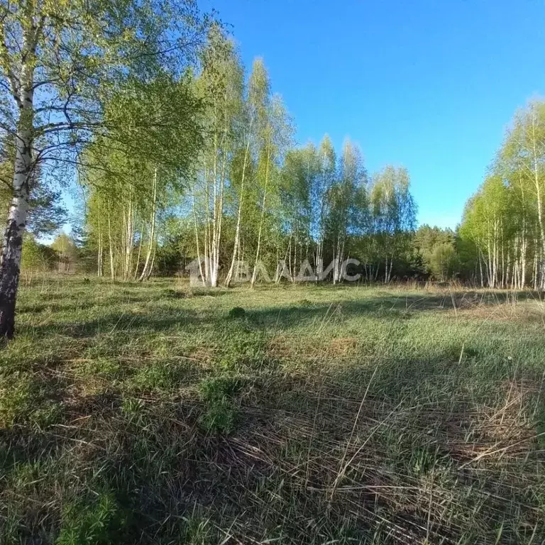 Участок в Владимирская область, Владимир Миловка СТ,  (10.0 сот.) - Фото 1