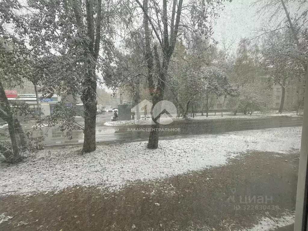 3-к кв. Новосибирская область, Новосибирск ул. Забалуева, 43 (71.8 м) - Фото 2