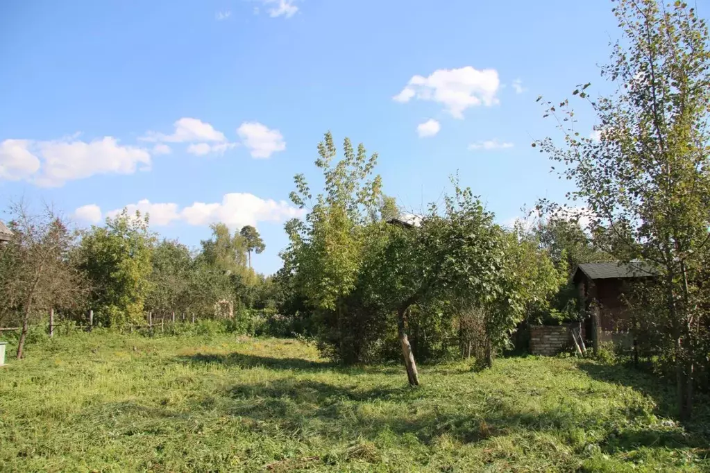 Участок в Московская область, Щелково городской округ, Загорянский пгт ... - Фото 2