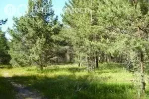 Участок в Улан-Удэ, дачный посёлок Жемчужина (8 м) - Фото 1