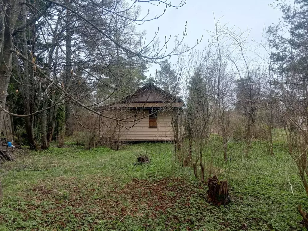 Участок в Ленинградская область, Всеволожский район, Колтушское ... - Фото 2