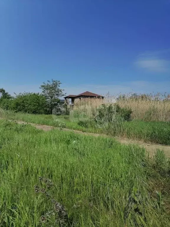 Участок в Ставропольский край, Минеральные Воды Дружба-2 садовые ... - Фото 2