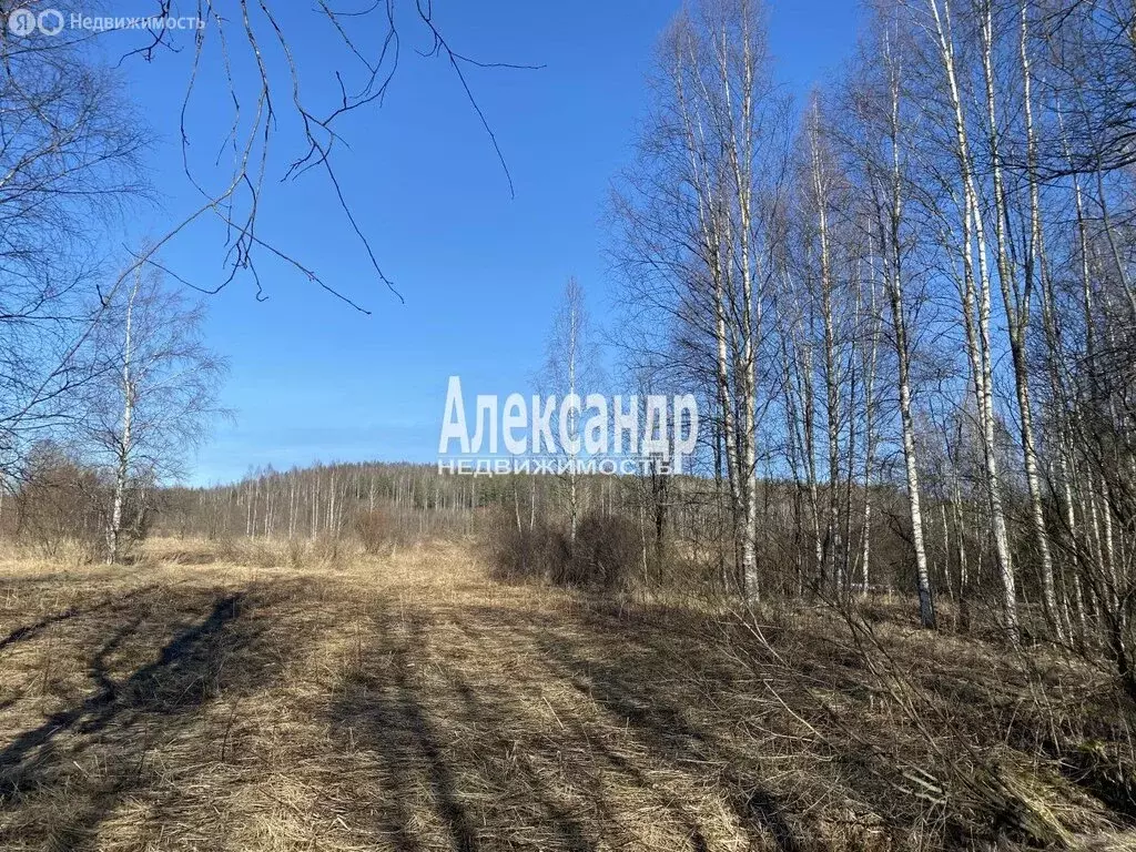 Участок в посёлок Возрождение, посёлок Петровка (13.1 м) - Фото 1