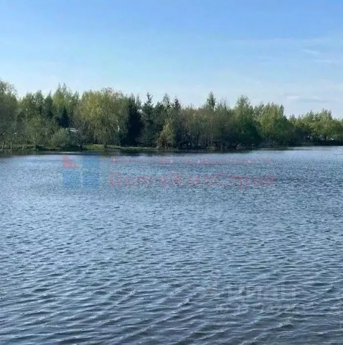 Участок в Московская область, Раменский муниципальный округ, Чистые ... - Фото 2