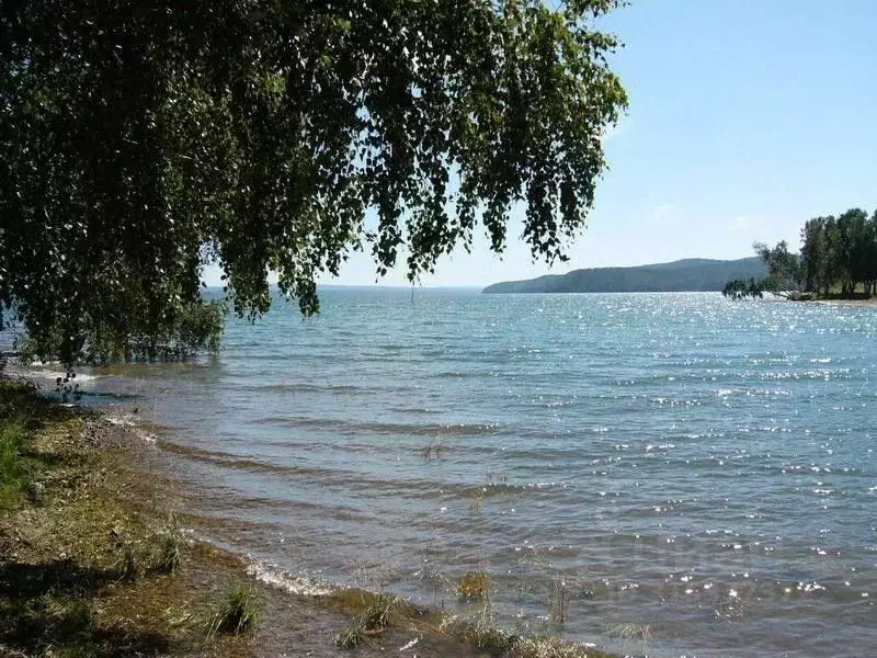 Участок в Иркутская область, Иркутский муниципальный округ, д. ... - Фото 1