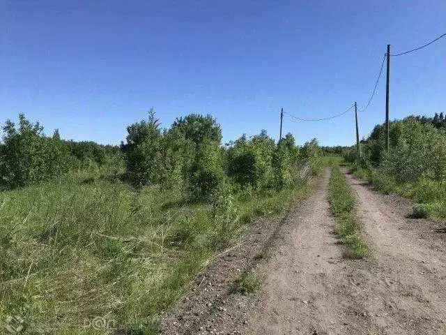 Участок в Пермский край, Добрянский городской округ, д. Городище  ... - Фото 0