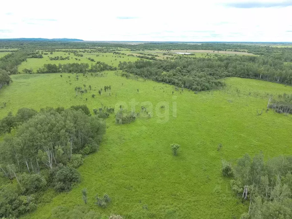 Участок в Хабаровский край, Хабаровский район, Осиновореченское с/пос, ... - Фото 1