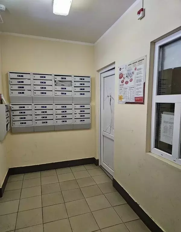 2-к кв. Московская область, Мытищи городской округ, д. Пирогово ул. ... - Фото 2