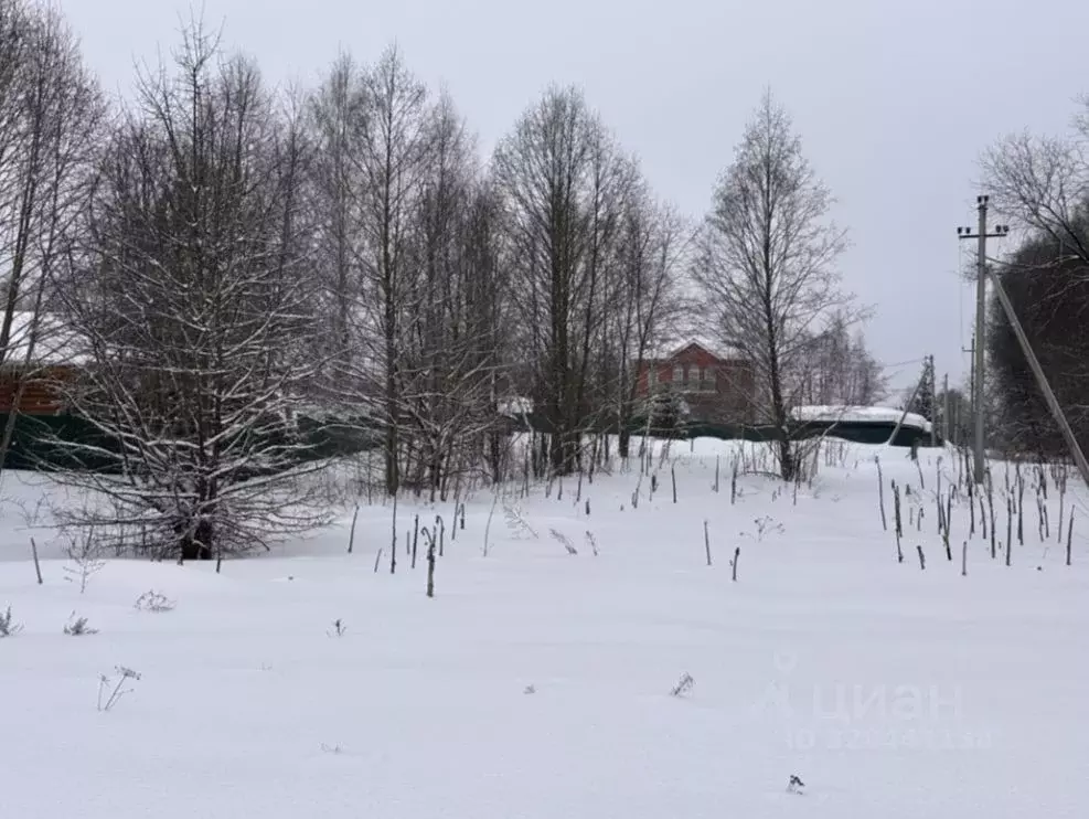 Участок в Московская область, Чехов муниципальный округ, д. Солнышково ... - Фото 1