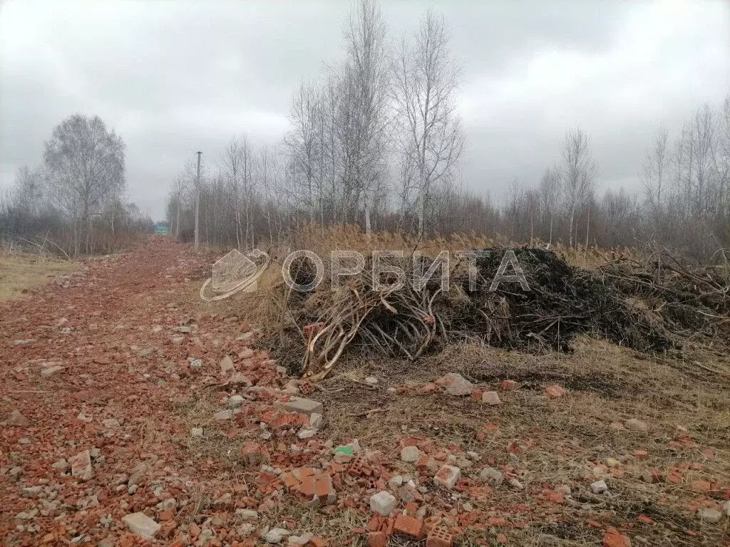 Участок в Тюменская область, Нижнетавдинский район, Сочинские СНТ  ... - Фото 1