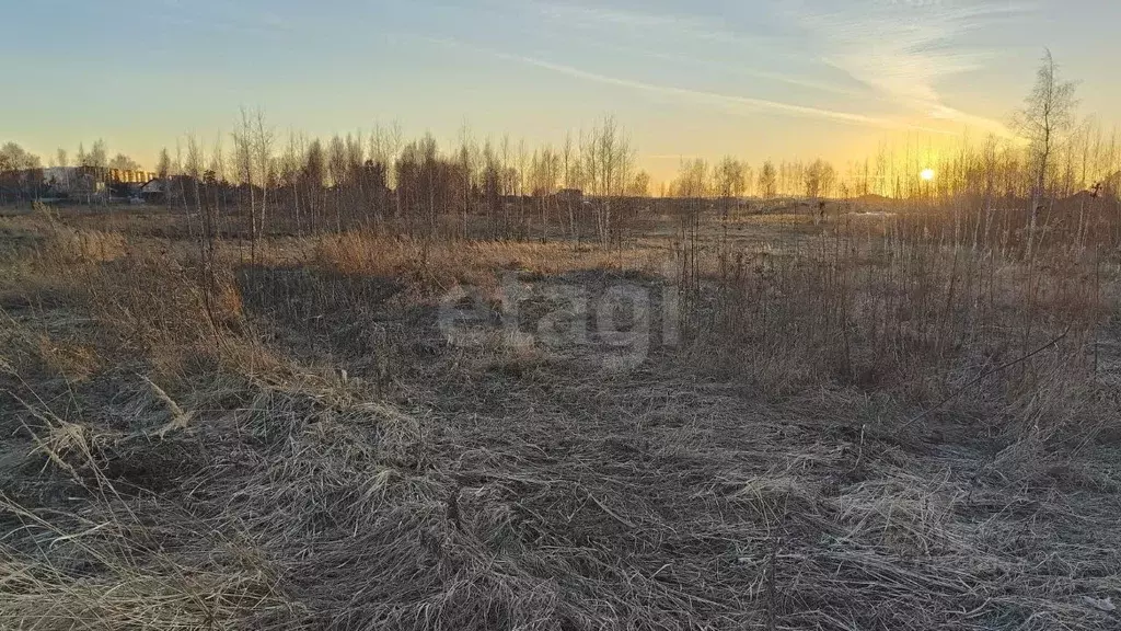 Участок в Московская область, Люберцы городской округ, Томилино пгт, ... - Фото 1