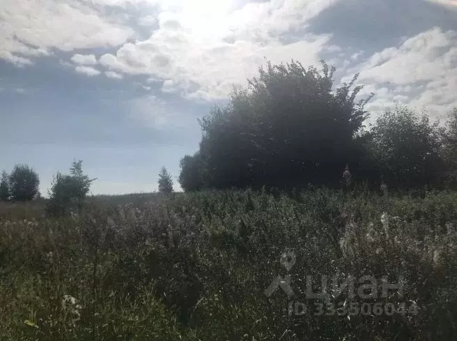 Участок в Московская область, Зарайск муниципальный округ, д. Ерново ... - Фото 2