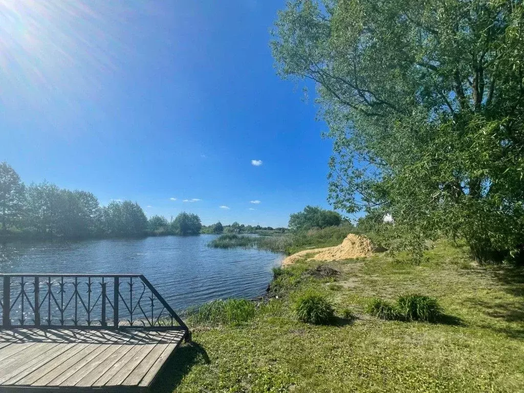 Участок в Тамбовская область, Тамбов городской округ, с. Бокино ул. ... - Фото 0